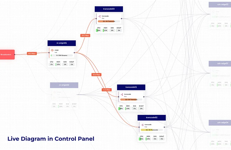 Cluster topology on the storm server control panel